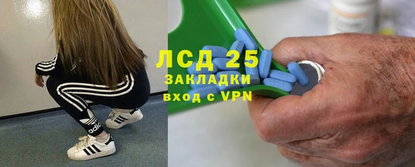 стафф Михайлов